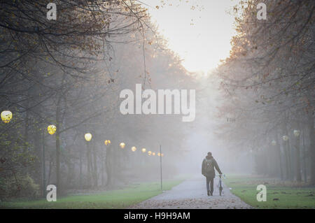 Berlin, Deutschland. 23. November 2016. Eine Person drückt ein Fahrrad Thorugh Nebel im Tiergarten in Berlin, Deutschland, 23. November 2016. Foto: Kay Nietfeld/Dpa/Alamy Live News Stockfoto