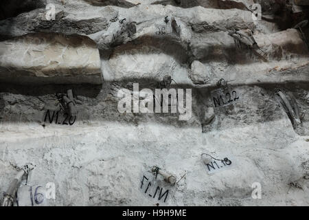 Jerusalem, Israel. 24. November 2016. Gerüstbau Umarmung der Aedikula des Grabes. Der Schrein, der die verehrte Grabstätte Jesu Christi beherbergt ist im Inneren der Kirche des Heiligen Grabes restauriert. Nur Wochen vor Wissenschaftler entfernt eine Marmorplatte auszusetzen, was geglaubt wird, um das Regal werden auf dem legte der Leichnam Jesu nach der Kreuzigung durch die Römer in 30 oder 33 n. Chr. Credit: Nir Alon/Alamy Live News Stockfoto