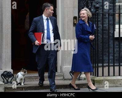 Larry die Katze schaut zu, wie Hauptsekretärin zum Fiskus David Gauke und Justiz-Staatssekretär Liz Truss 10 Downing Street, London, nach einer Kabinettssitzung lassen, wie Philip Hammond bereitet sich auf seine erste Herbst-Anweisung als Kanzler zu liefern. Stockfoto