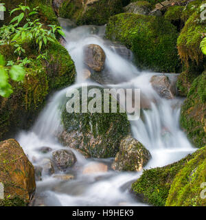 Langzeitbelichtung Foto von einem wunderschönen Wasserfall im Wald Stockfoto