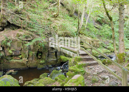 Derbyshire, Großbritannien - 24 September 2016: Holzsteg über Burbage Bach in den Rocky River Valley von padley Schlucht in den Peak District Stockfoto