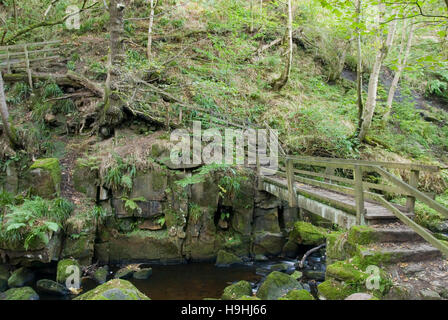 Derbyshire, Großbritannien - 24 September 2016: Holzsteg über Burbage Bach in den Rocky River Valley von padley Schlucht in den Peak District Stockfoto