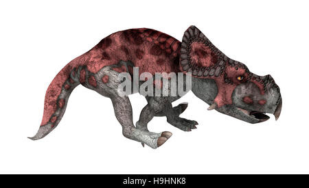 3D Rendering von einem Dinosaurier Protoceratops isoliert auf weißem Hintergrund Stockfoto