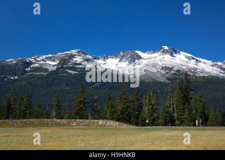 Schneebedeckte Berggipfel und Wald, gesehen vom Whistler Olympic Park, British Columbia, Kanada, im Sommer. Stockfoto