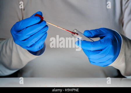 Forensische DNA-Probenahme von Blutfleck mit Wattestäbchen auf Mord Tatort Techniker Stockfoto