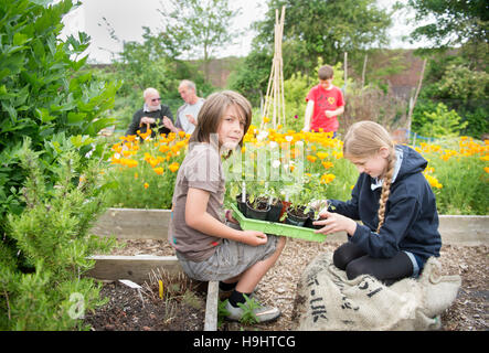 Junge Gärtner im Golden Hill Community Garden in Bristol, Großbritannien Stockfoto
