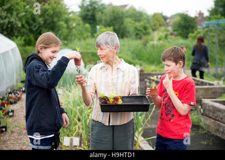 Ein Freiwilliger im Golden Hill Community Garten in Bristol zeigt Kinder einige Sämlinge UK Stockfoto