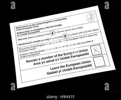 Papier für das Jahr 2016 UK Referendum bei verbleibenden oder Ausreise aus der Europäischen Union stimmen Stockfoto