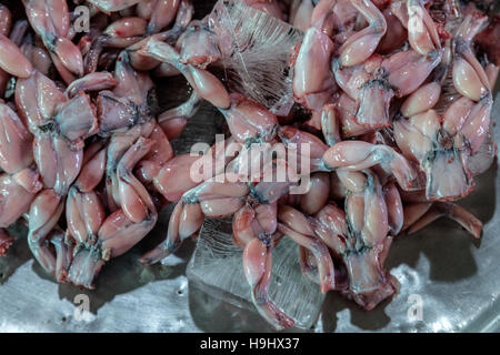 Frösche für den Verkauf auf einem Fischmarkt in Vinh Long gehäutet; Mekong-Delta; Vietnam; Stockfoto