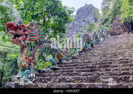 Drache, hängen Mua Tam Coc, Ninh Binh, Vietnam, Asien Stockfoto