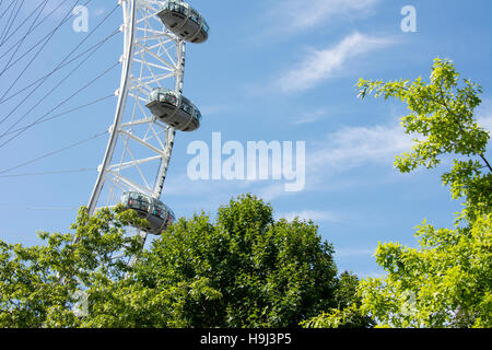 London, England - 29. Juli 2014: Touristen reiten das London Eye mit Textfreiraum Stockfoto