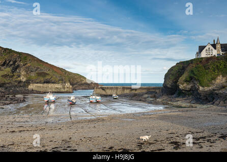 Blick auf das Meer vom Kai in Port Isaac bei Ebbe Stockfoto