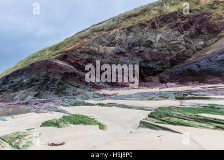 Geologie von North Cornwall. Neben Daymer Bay Felsformationen zeigen Metalle und Mineralien in ihrer Zusammensetzung. Stockfoto