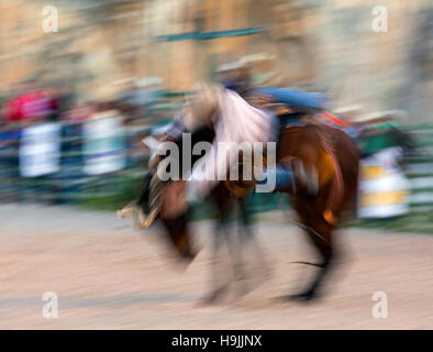 WY01203-00... WYOMING - Ruckeln Bronc Reiter am Freitag Nacht Rodeo Dubois. (Keine MR) Stockfoto