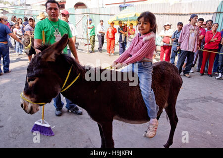 Kleines Mädchen einen Esel reiten Stockfoto