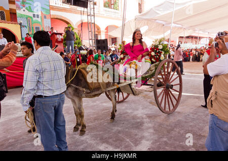 Königin der Esel Messe in Otumba, Mexiko Stockfoto