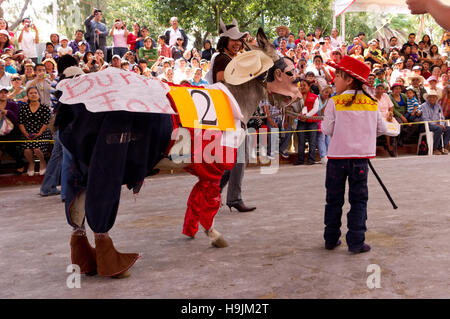 Gekleidete Esel Wettbewerb während der Esel Messe (Feria del Burro) in Otumba, Mexiko Stockfoto