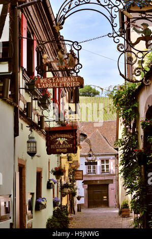 Alte malerische Dorf Riquewihr, Dorf des Weins, Mitglied der schönsten Dörfer Frankreichs, Ostfrankreich, Grenze zu Deutschland, Gemeinde departm Stockfoto