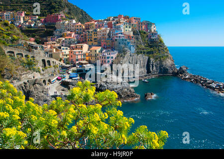 Manarola, Nationalpark Cinque Terre, Ligurien, Italien Stockfoto