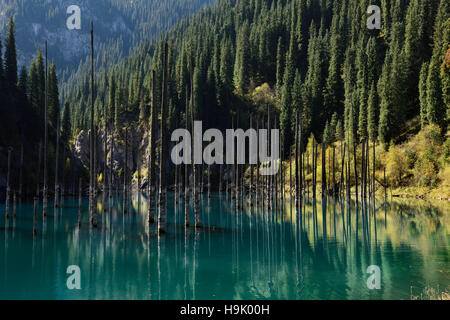 Herbst Reflexionen im türkisblauen Wasser des Sees Kaindy mit Toten Fichten Kasachstan Stockfoto