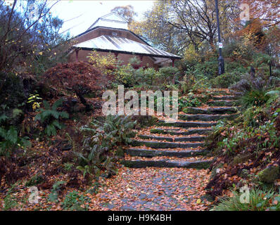 Die Fossil Grove befindet sich in Victoria Park, Glasgow, Schottland. Es wurde 1887 entdeckt. Stockfoto