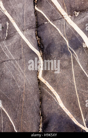 Detail der Quarzadern im Felsen am Strand von The erwürgt. Stockfoto