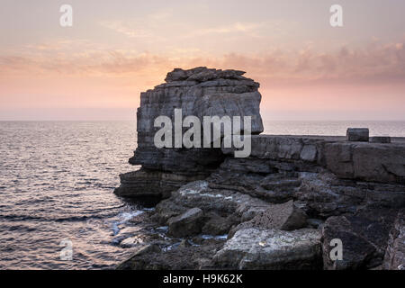 Preikestolen an der Küste von Dorset bei Sonnenuntergang. Stockfoto