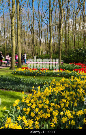 LISSE, Niederlande - 17. April 2016: Unbekannte Touristen besuchen die weltberühmten Keukenhof-Tulpe-Gärten in den Niederlanden Stockfoto