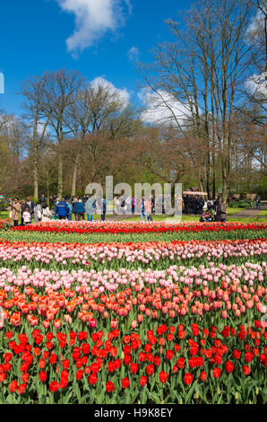 LISSE, Niederlande - 17. April 2016: Unbekannte Touristen besuchen die weltberühmten Keukenhof-Tulpe-Gärten in den Niederlanden Stockfoto