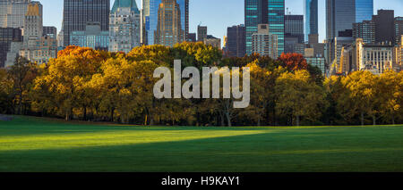 Central Park Sheep Meadow mit voller Herbstfarben. Midtown Manhattan Wolkenkratzer im frühen Morgenlicht. New York City Stockfoto