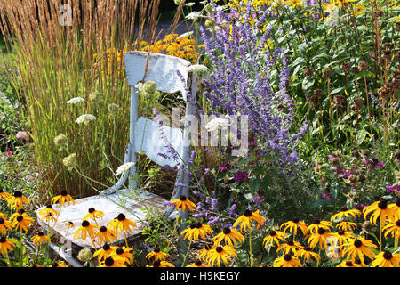 Eine rustikale, blau, hölzernen Stuhl in einem Garten, umgeben von hohen Gräsern, Black Eyed Susans, Queen Anne es Lace, Lavendel und Goldmelisse Stockfoto