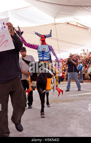 Gekleidete Esel Wettbewerb während der Esel Messe (Feria del Burro) in Otumba, Mexiko Stockfoto