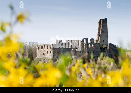 Ruinen, Grenzbezirke, Kladno, Ovice Oko, Frühjahr, Frühling, Blüte, Blüte, Bäume, Garten, Rasen, blauer Himmel, Sonne, Sonne, Sonnenschein, gotische, romantisch, Böhmen, Gebäude, Stockfoto