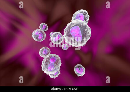 Monocyte Immunsystem Abwehrzellen, 3D Rendering Stockfoto