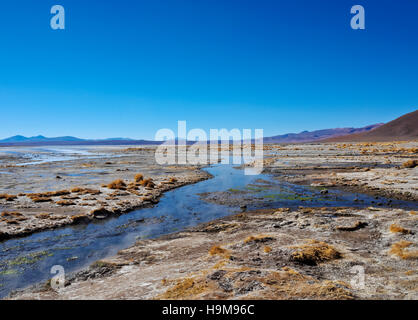 Bolivien Potosi Departmant Sur Lipez Provinz Eduardo Avaroa Anden Fauna National Reserve Blick auf die Laguna Salada in der Nähe von heißen Stockfoto