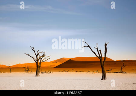 Deadvlei Dünen bei Sonnenaufgang, Namibia Stockfoto