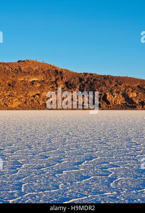 Bolivien, Potosi Department, Daniel Campos Provinz, Salar de Uyuni, Blick auf die Insel Incahuasi bei Sonnenaufgang. Stockfoto