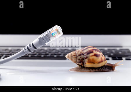 Schnecke mit rj45 Stecker symbolische Foto für langsame Internet conne Stockfoto