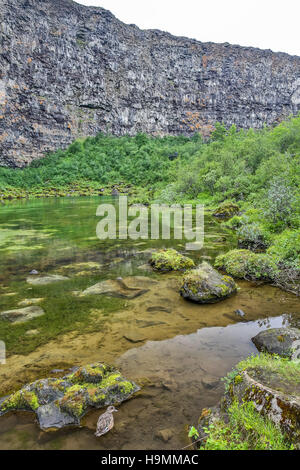 Ásbyrgi Canyon, Husavik, gigantische, anomale, hufeisenförmige Felsformation, Island, Nord Stockfoto