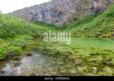 Ásbyrgi Canyon, Husavik, gigantische, anomale, hufeisenförmige Felsformation, Island, Nord Stockfoto