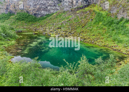 Ásbyrgi Canyon, Husavik, gigantische, anomale, hufeisenförmige Felsformation, Island, Nord Stockfoto