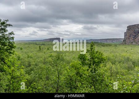 Ásbyrgi Canyon, Husavik, gigantische, anomale, hufeisenförmige Felsformation, Island, Nord Stockfoto