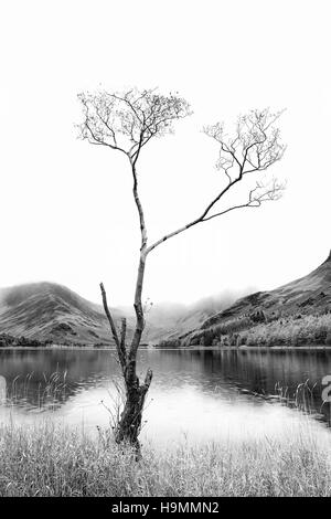 Beeindruckende Schwarz-weiß hohe wichtige Landschaftsbild des Lake Buttermere im Lake District, England Stockfoto