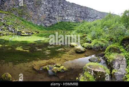 Ásbyrgi Canyon, Husavik, gigantische, anomale, hufeisenförmige Felsformation, Island, Nord Stockfoto