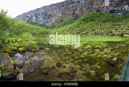 Ásbyrgi Canyon, Husavik, gigantische, anomale, hufeisenförmige Felsformation, Island, Nord Stockfoto