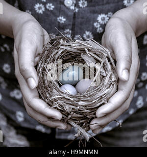 Nest mit bunten Eiern in Frauenhand. Stockfoto