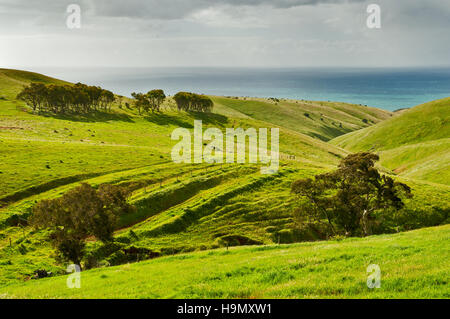 Grüne Hügel in Rapid Bay auf der Fleurieu Peninsula. Stockfoto