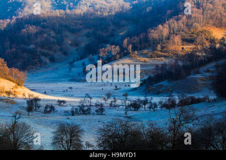 Guanshan Weiden der Provinz Shaanxi, China Stockfoto