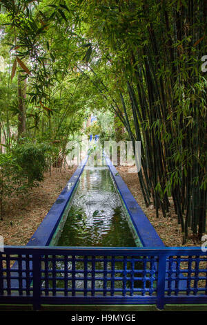 Garten Jardin Majorelle in Marrakesch., die von dem französischen Designer renoviert wurde Yves Saint Laurent Stockfoto