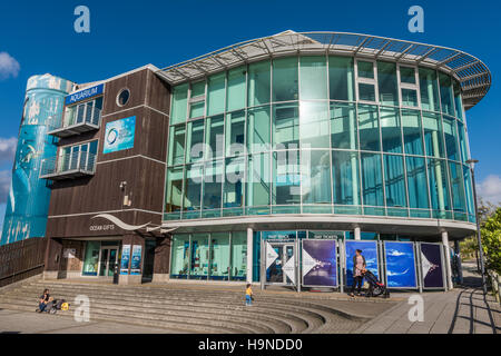 Das National Marine Aquarium Stockfoto